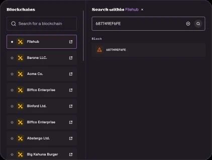 Search within a selected blockchain, with navigation context still visible