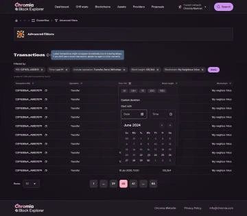 Advanced transaction filters with a time-range date picker open